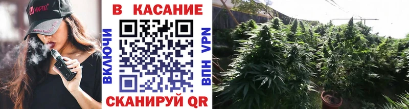 Купить наркотик аптеки Сасово Альфа ПВП Марихуана Меф Бутират Гашиш