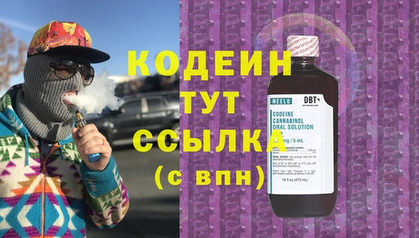 амф Няндома