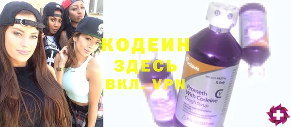 амф Няндома