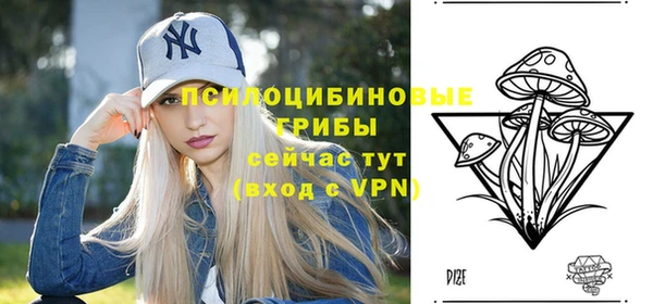 крисы Нягань