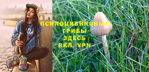 крисы Нягань