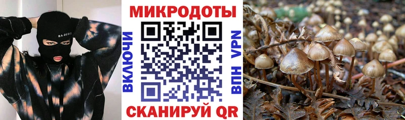 хочу   Сасово  Галлюциногенные грибы ЛСД 