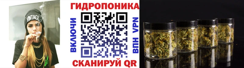 Конопля планчик  Сасово 